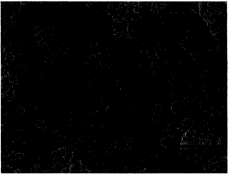 Controllable method for preparing nano zinc oxide powder