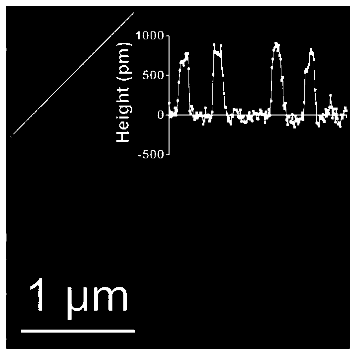 Nano-sheets containing nitrogen monoxide donor as well as preparation method and application of nano-sheets