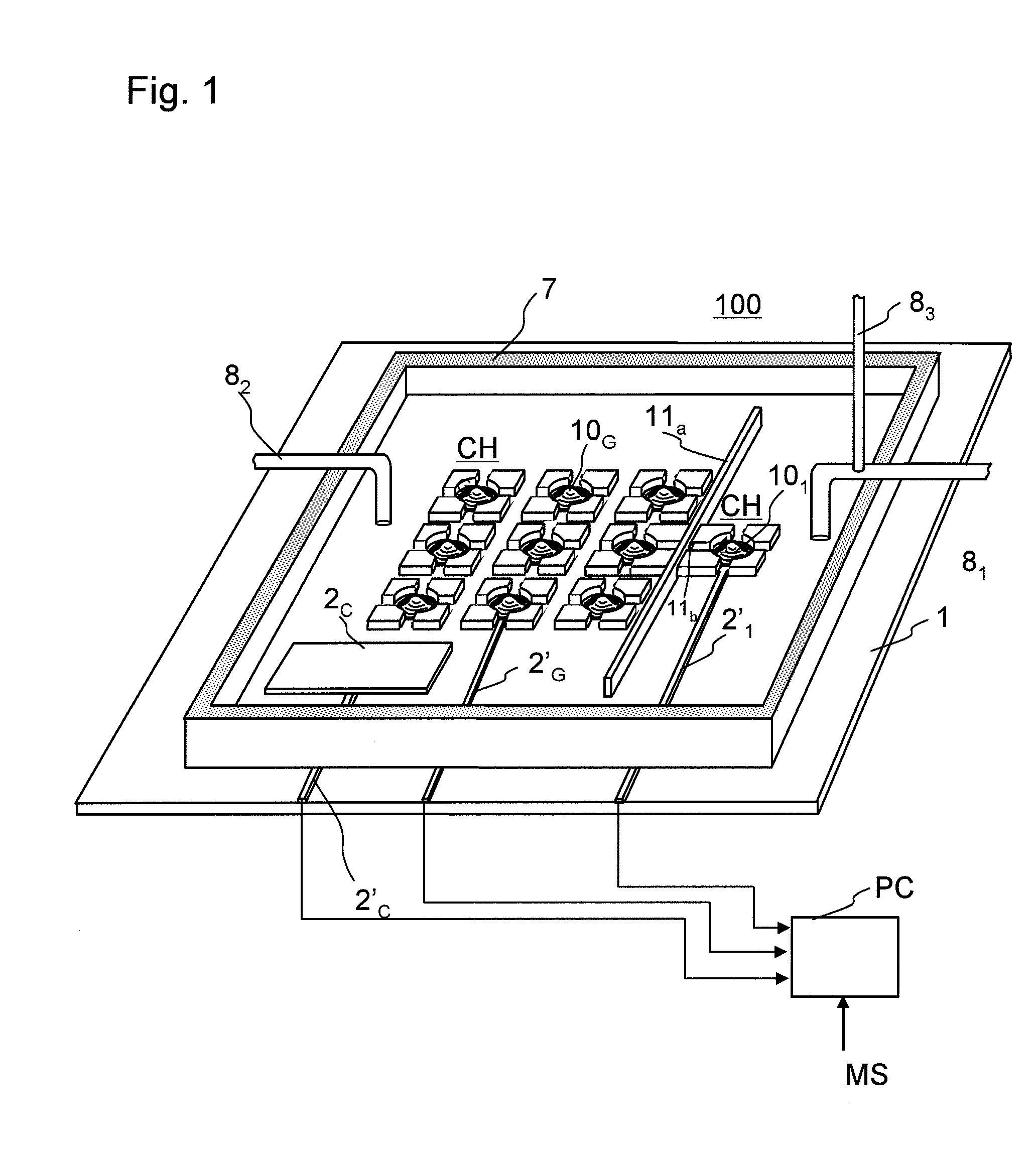 Model cell chip, apparatus for evaluating drug effect using the model cell chip and method of evaluating drug effect