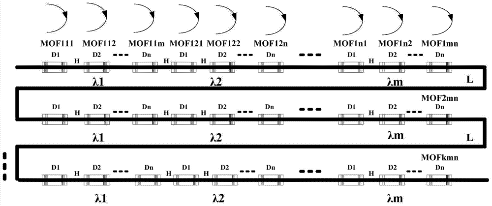 Distributed microstructure sensor network based on time division wavelength division multiplexing and its application method