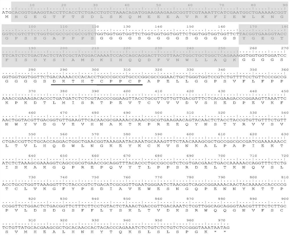 GLP-1R/GIPR dual-target agonist fusion protein as well as preparation method and application thereof