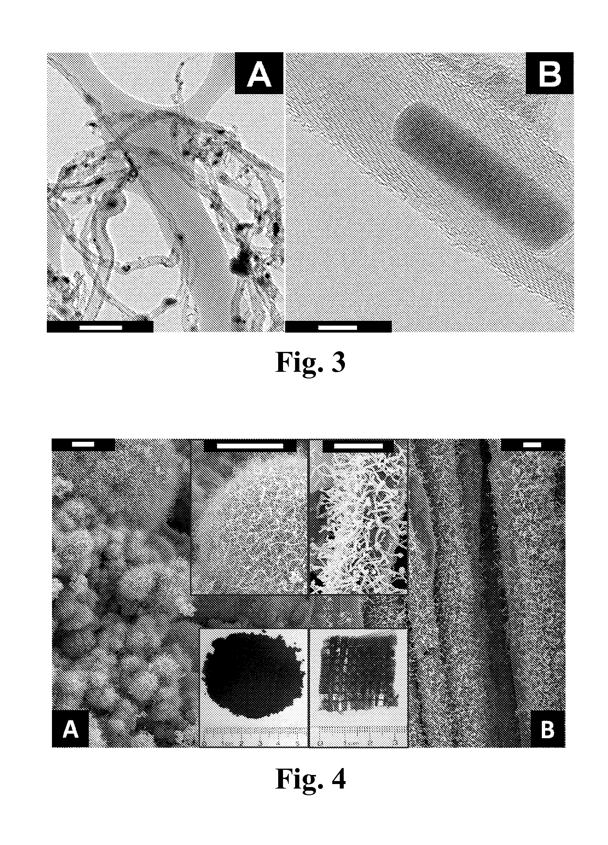 Novel nanocomposite for sustainability of infrastructure