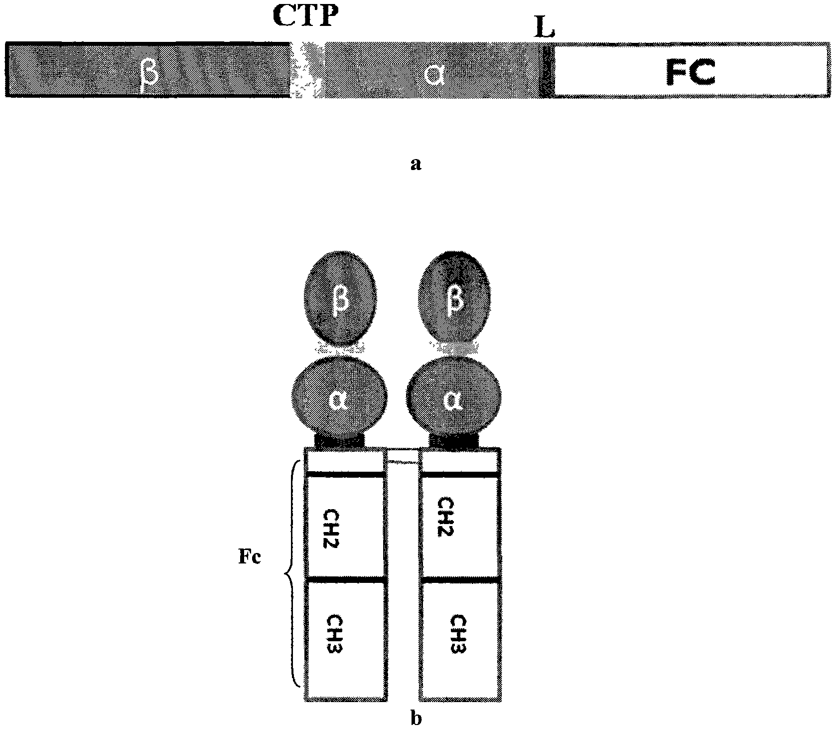 Long-acting recombinant follicle-stimulating hormone and application thereof