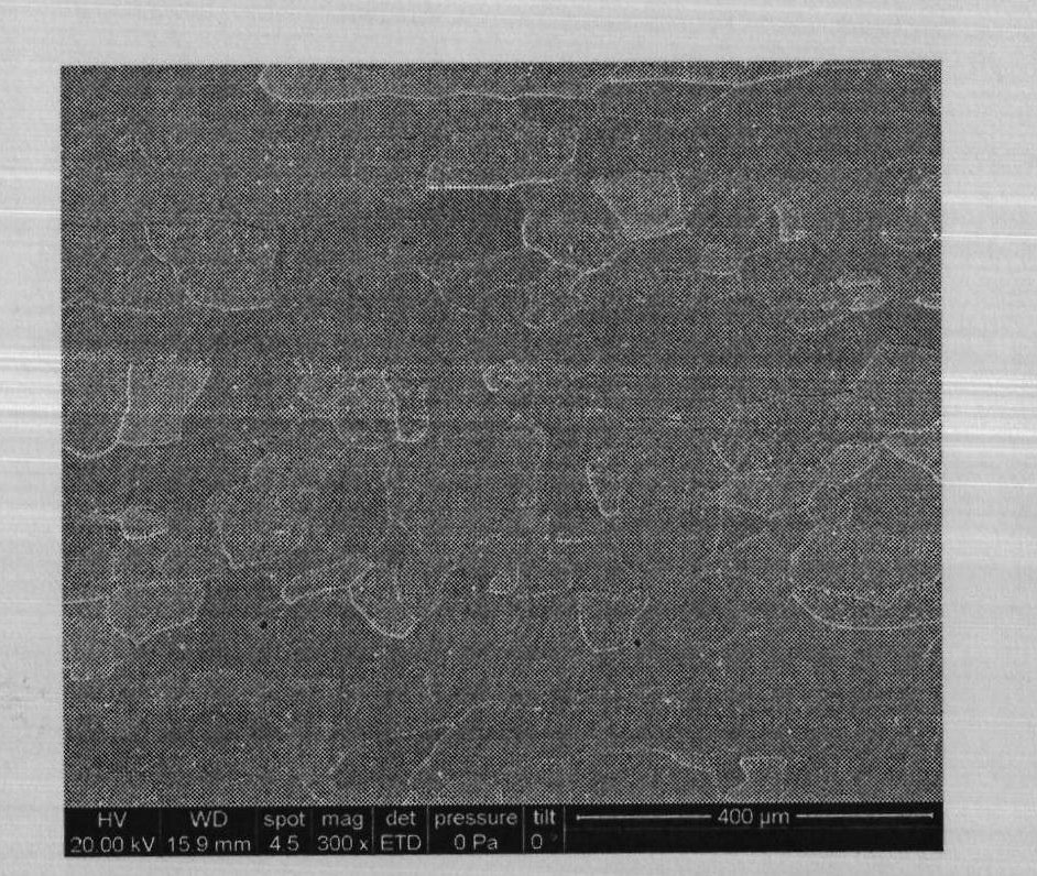 Ferritic stainless steel and method for manufacturing same