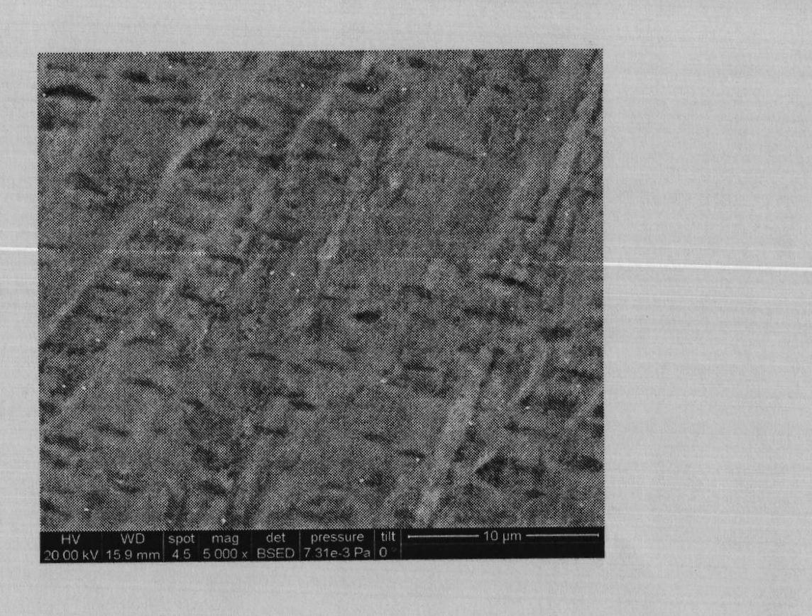 Ferritic stainless steel and method for manufacturing same