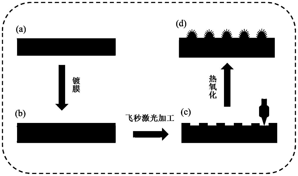 A method for fabricating superhydrophobic and anti-reflective surfaces by femtosecond laser without mask