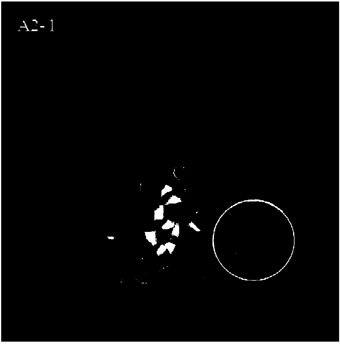 Method and device for detecting mutant protein