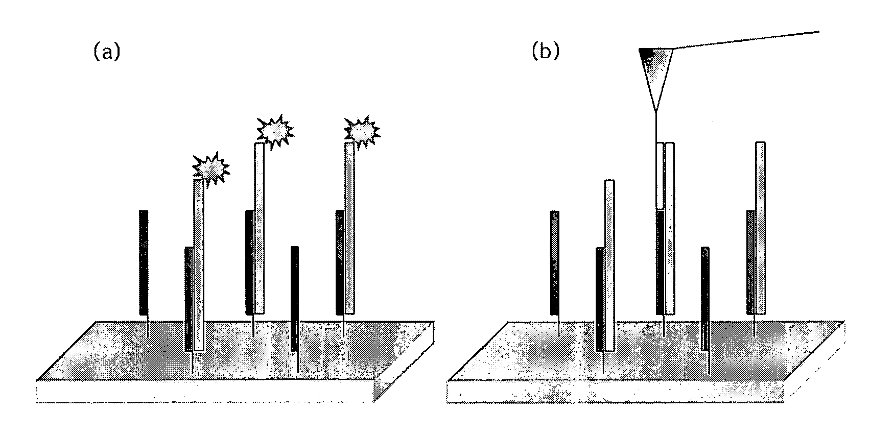 Atomic force microscope as an analyzing tool for biochip