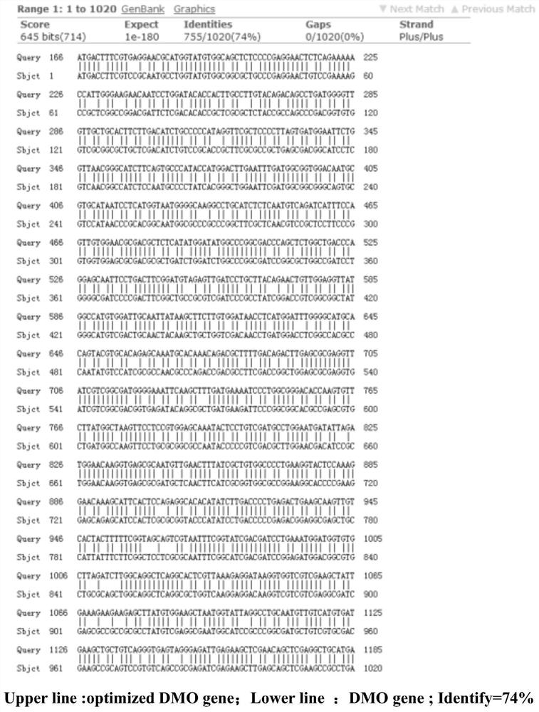 A method of improving soybean herbicide resistance to dicamba and plant photosensitivity by transgenic dmo