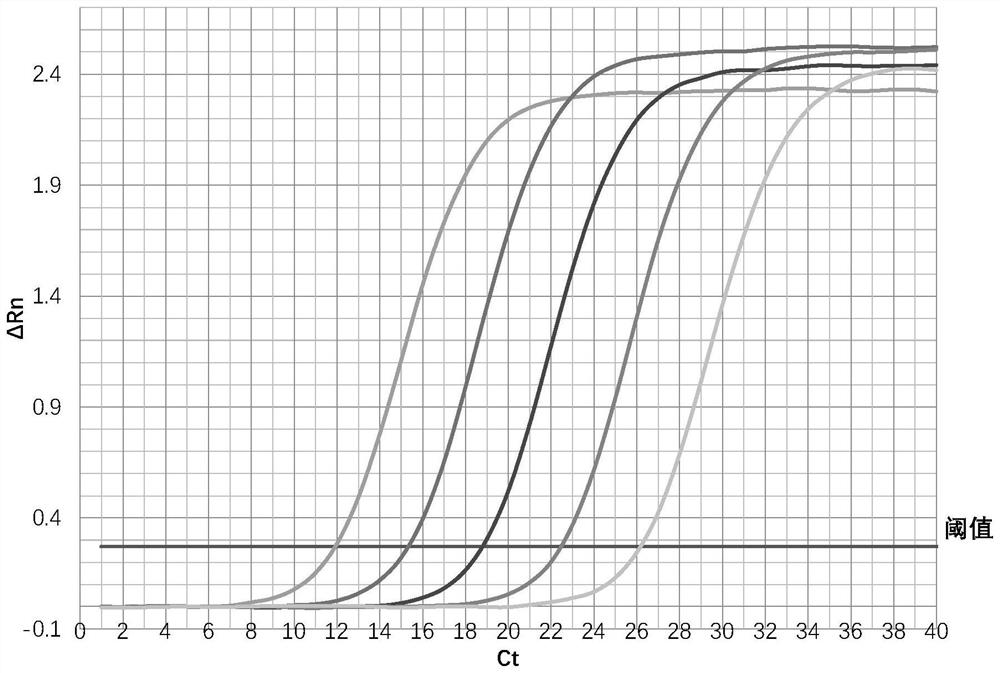 HIV-1 viral load real-time fluorescence quantitative PCR detection specific primer pair and kit