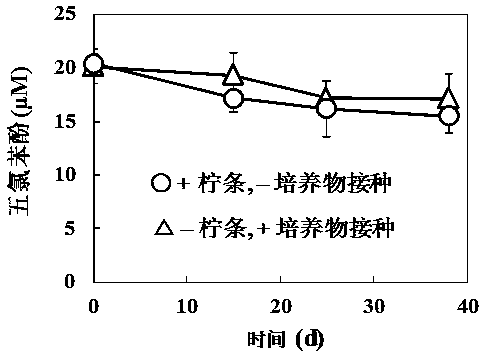 A biochar preparation capable of mediating anaerobic reductive dechlorination of pentachlorophenol