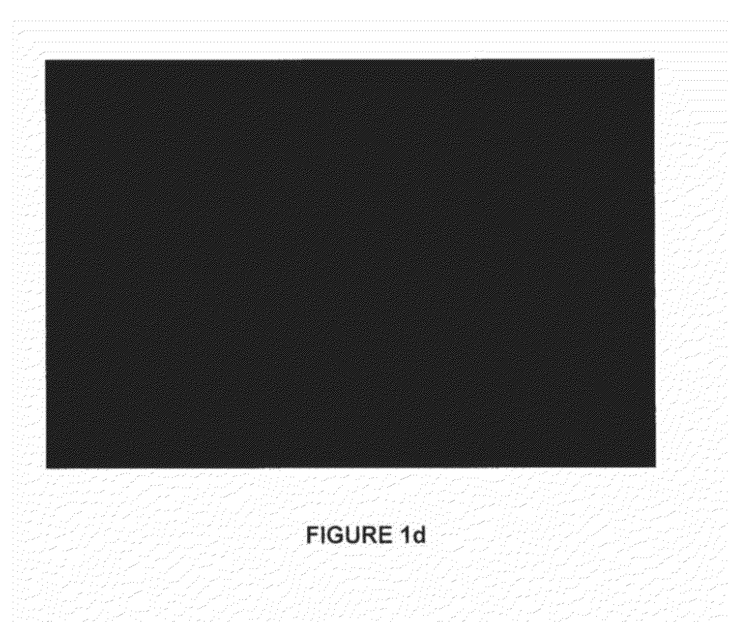 Composition for Enhancing Bone Formation