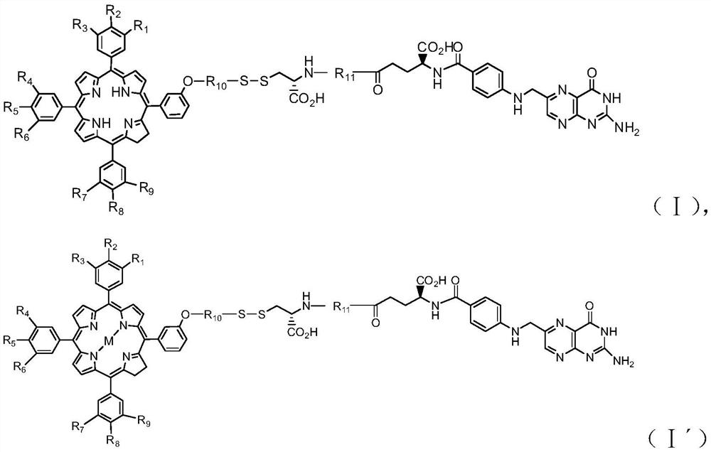 Targeted photosensitizer and its preparation method, application and antitumor drug containing it