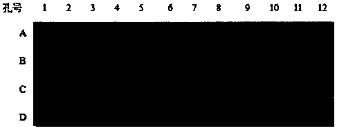 Apolygus lucorum ultraspiracle protein specific polyclonal antibody as well as preparation method and application thereof