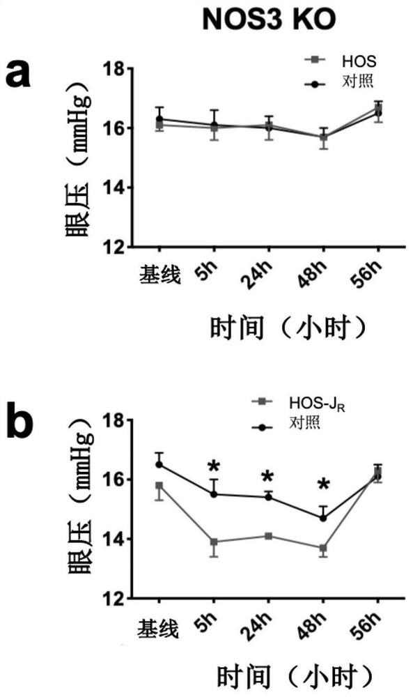 Responsive NO nano-drug as well as preparation method and application thereof