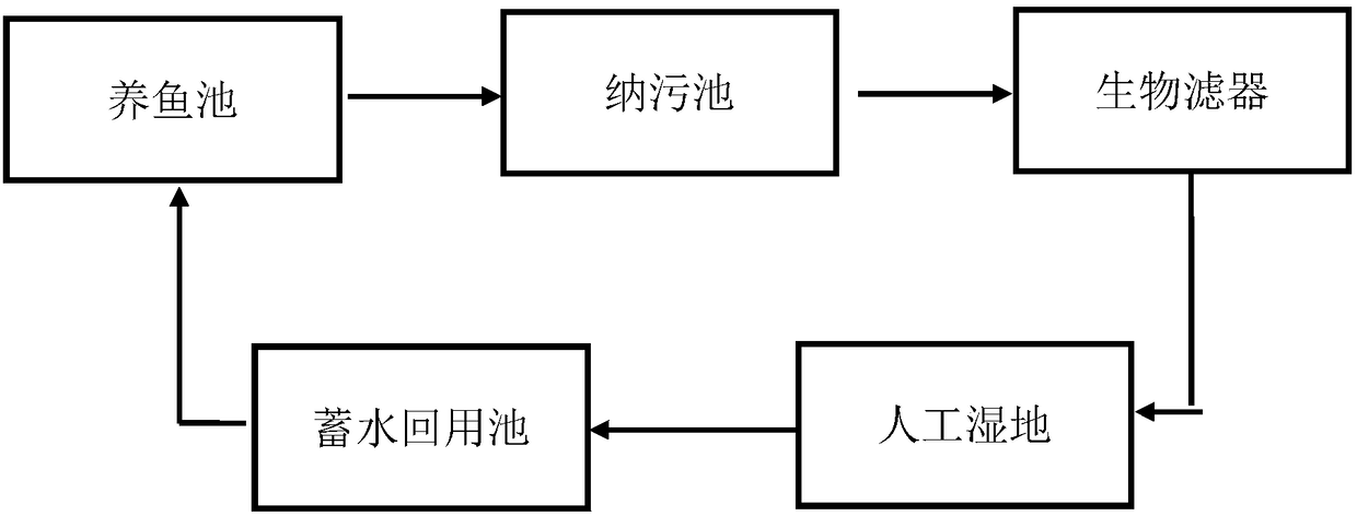 Ecological self-purified integrated aquarium fish circulating water culturing system