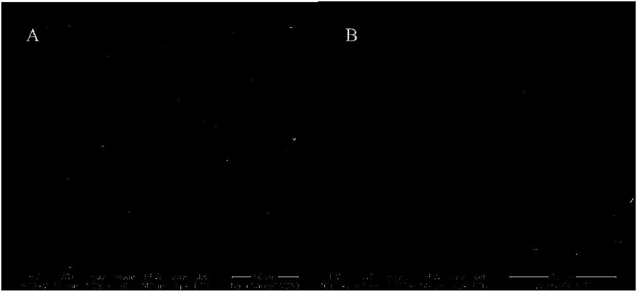 Quickly-rechargeable long-life high-voltage lithium cobaltate positive electrode material and preparation method