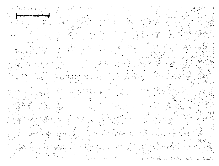 Rolling forming method of large and medium scale stainless steel solid disk forgings