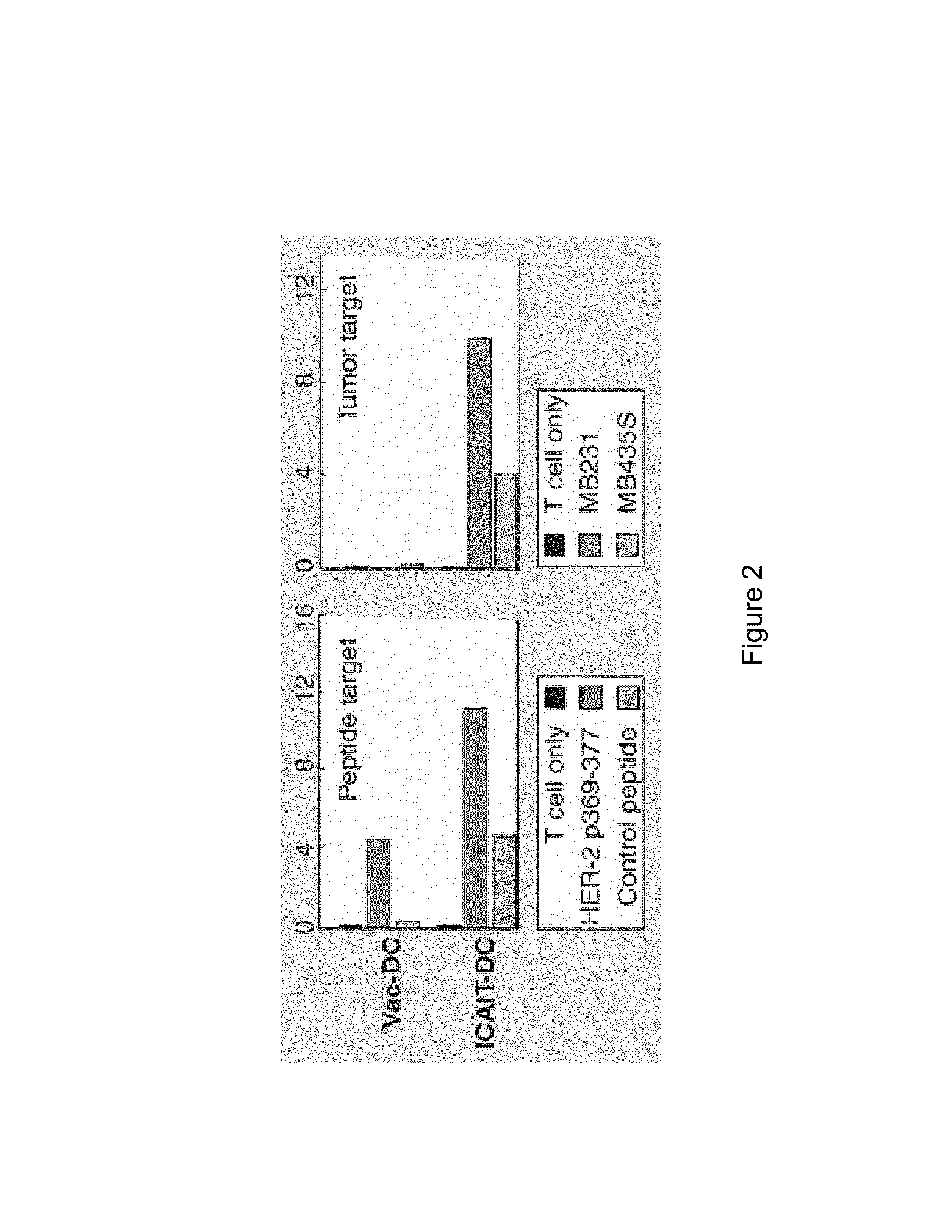 System and Method of Preparing and Storing Activated Mature Dendritic Cells