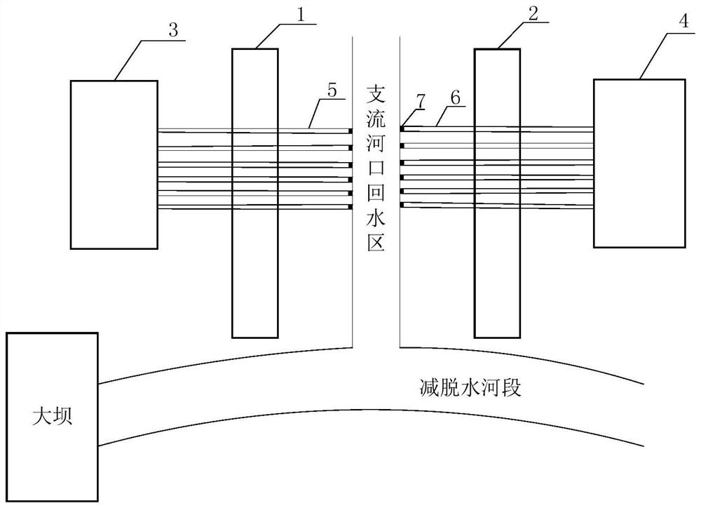 Water ecological restoration system and method for tidal tributary estuary of dam-back dehydration reach