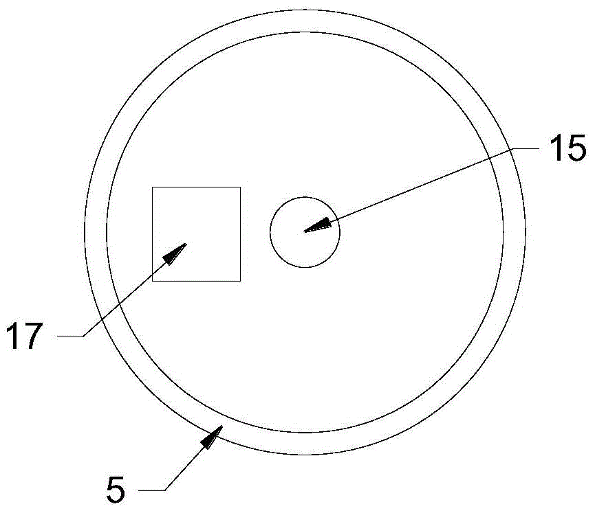 Lepidoptera insect egg collecting device