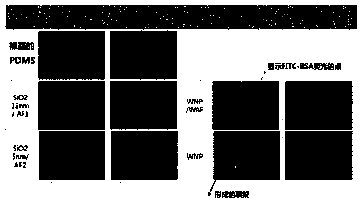 Method for modifying surface of polymer substrate and polymer substrate having surface modified thereby