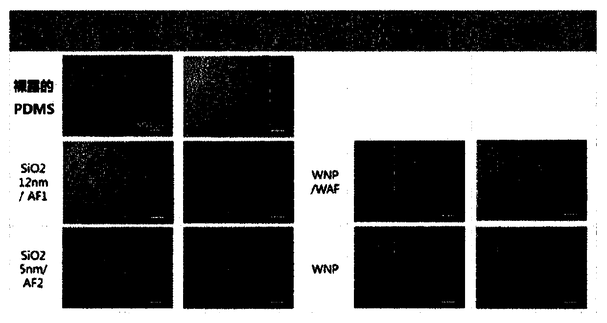 Method for modifying surface of polymer substrate and polymer substrate having surface modified thereby