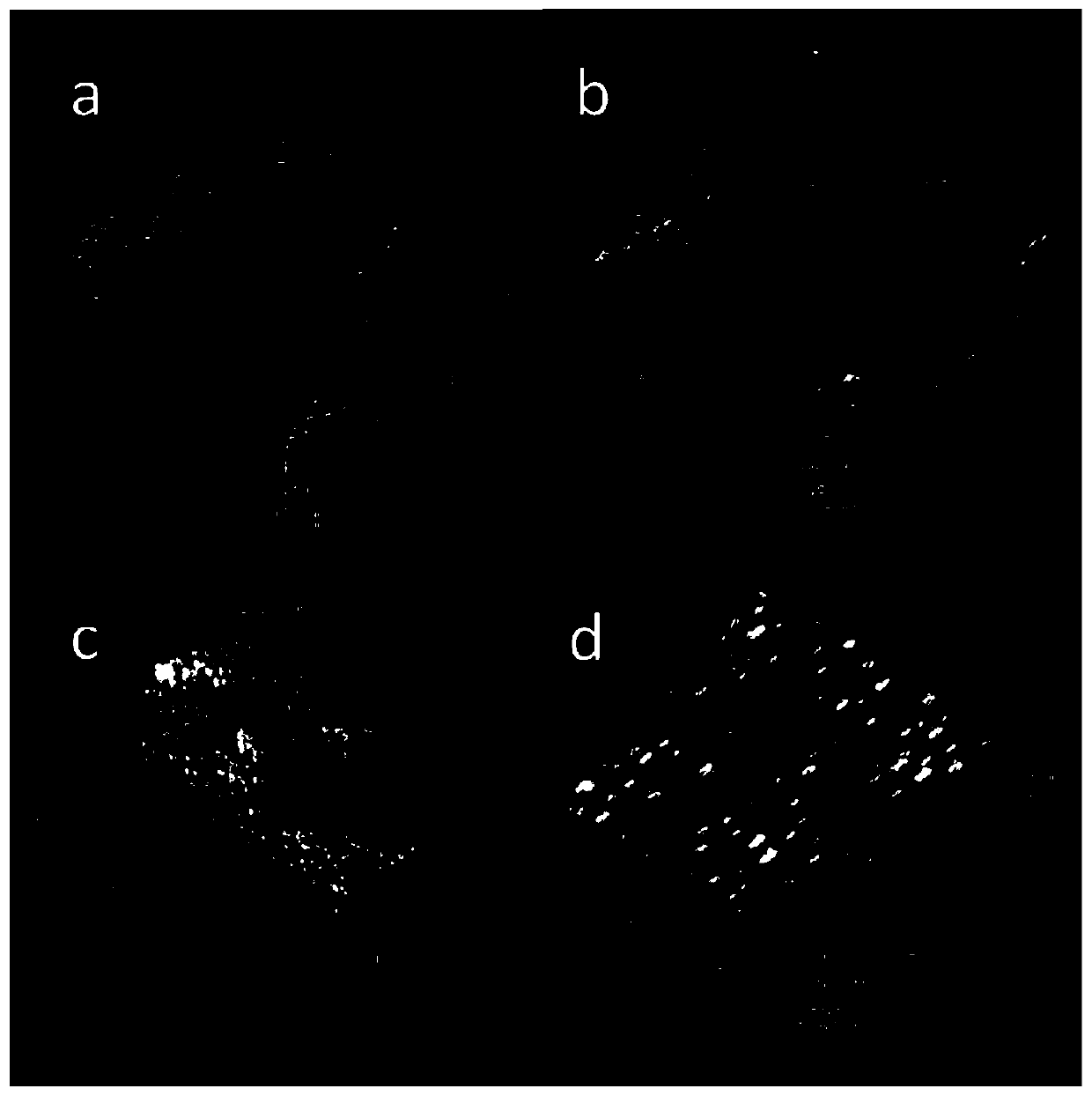 A kind of plga-gelatin composite microsphere loaded with genistein and preparation method thereof