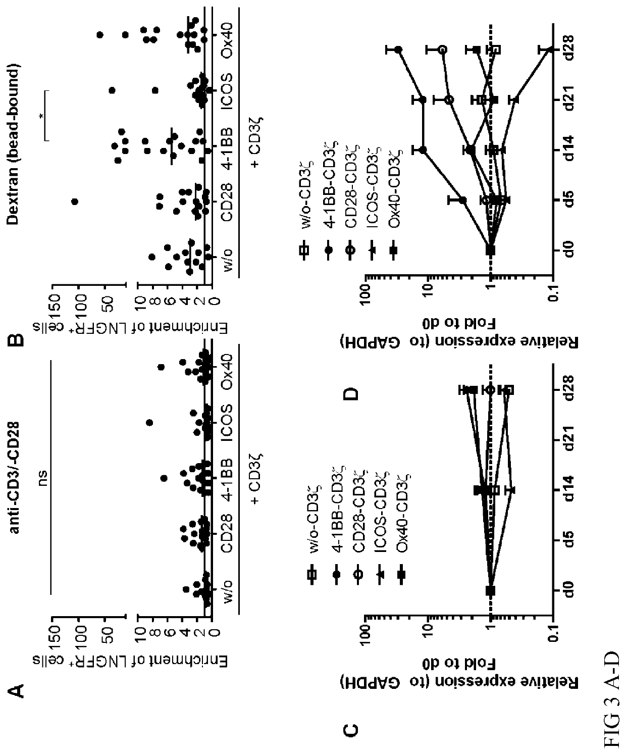 Regulatory T Cell Expressing a Chimeric Antigen Receptor