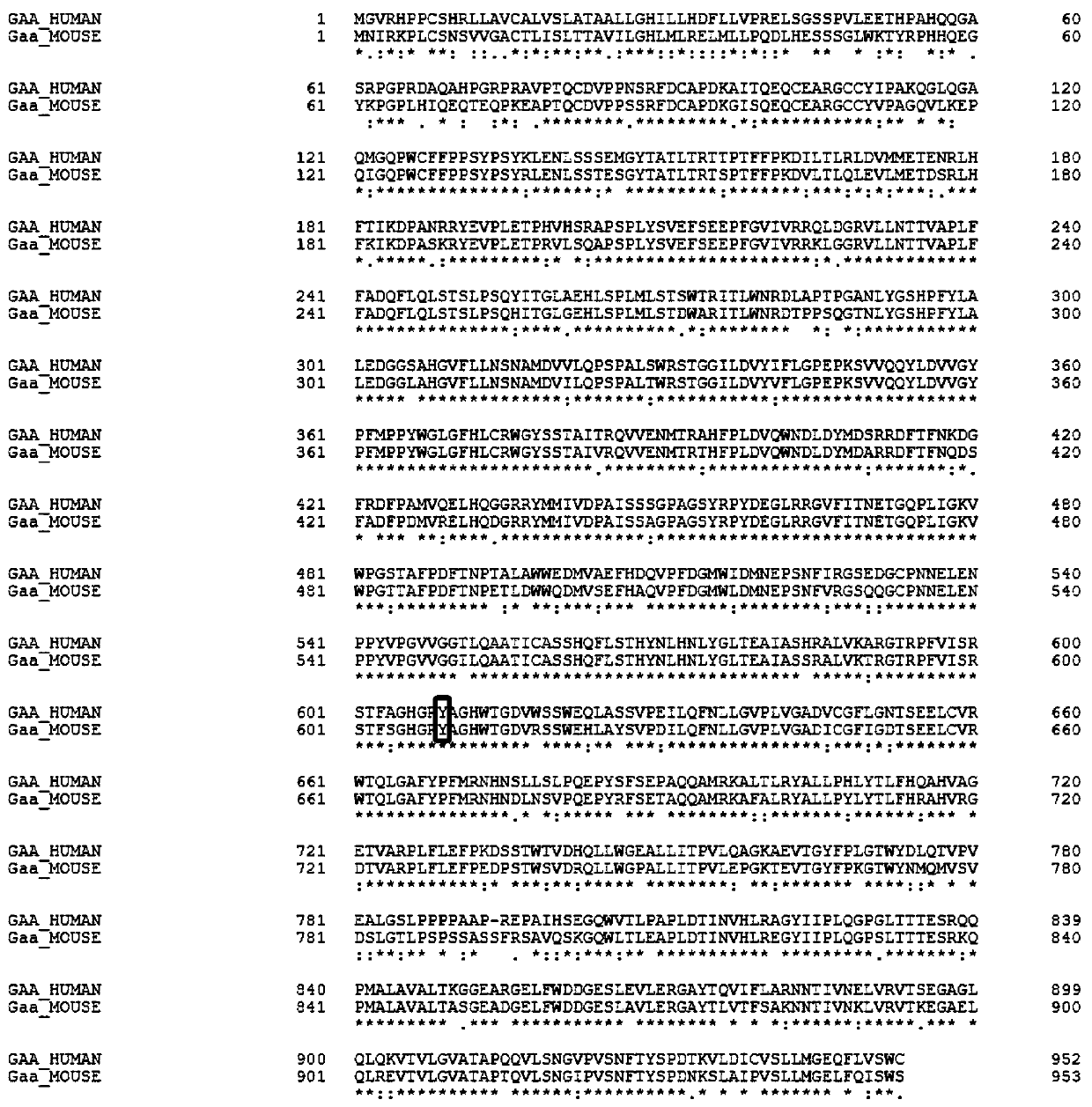 sgRNA guide sequence of specific targeting mouse Gaa gene and application of thereof