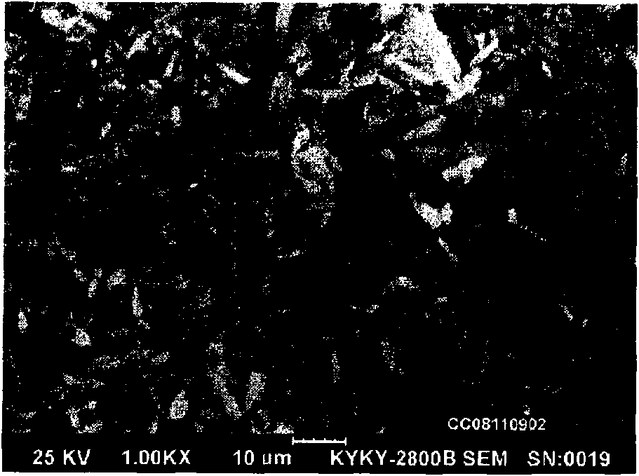 Spherical cobalt oxalate powder and production method thereof