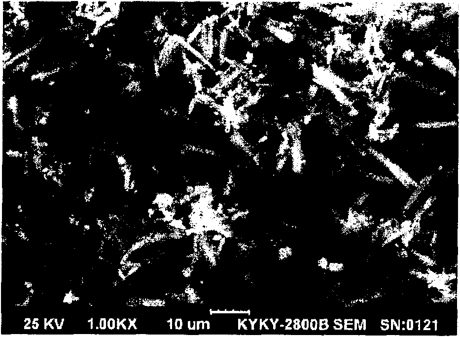 Spherical cobalt oxalate powder and production method thereof