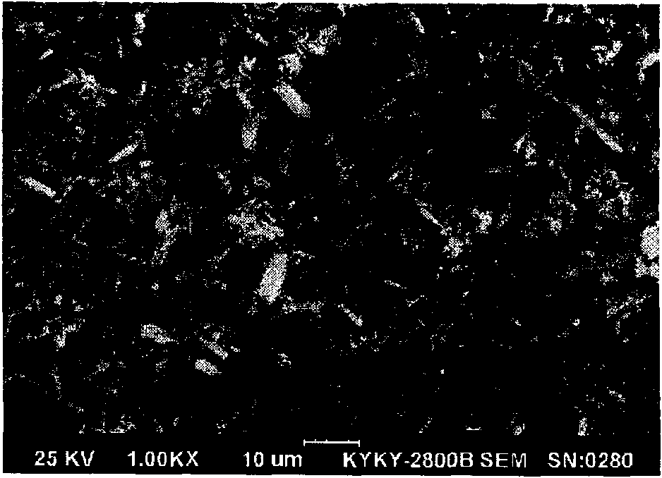 Spherical cobalt oxalate powder and production method thereof