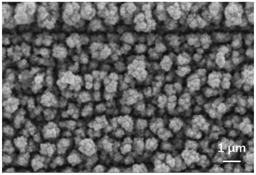 A kind of preparation method of feconicumo high entropy alloy film