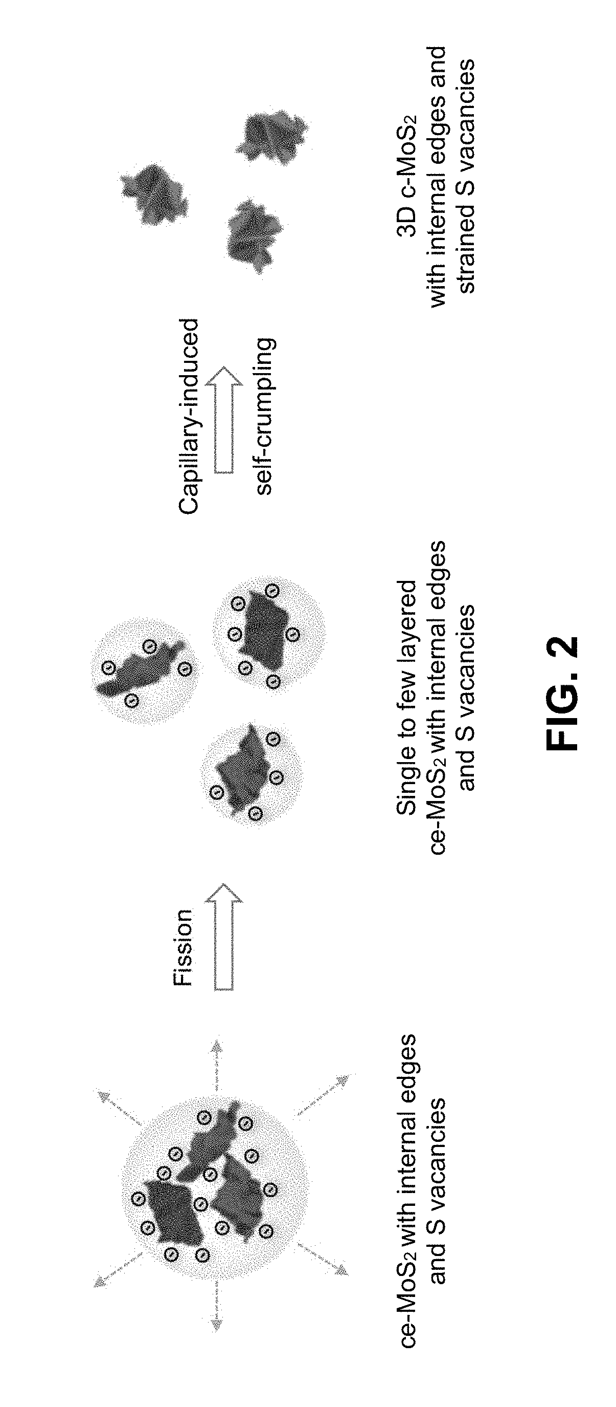 Crumpled Transition Metal Dichalcogenide Sheets