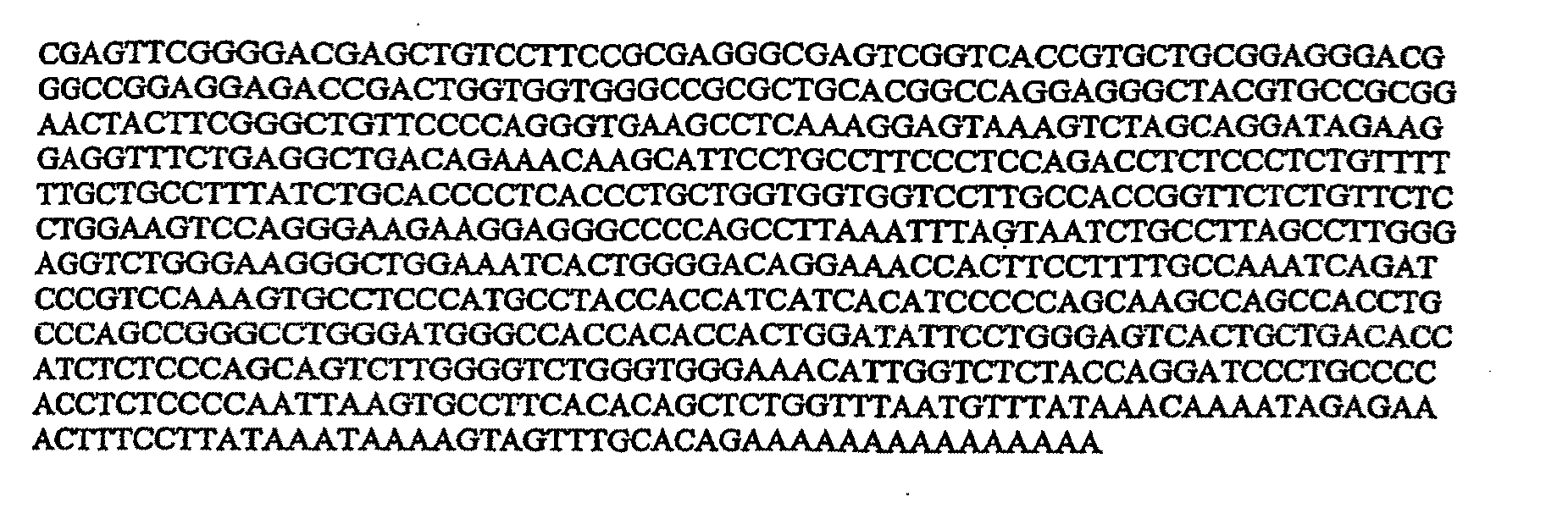 Tumour Suppressor Protein