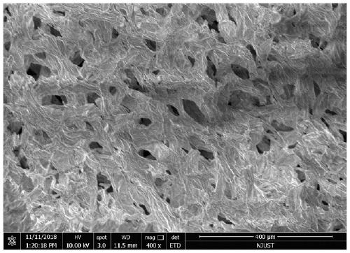 Method for obtaining porous zirconium dioxide thermal insulation ceramic through shaddock peel