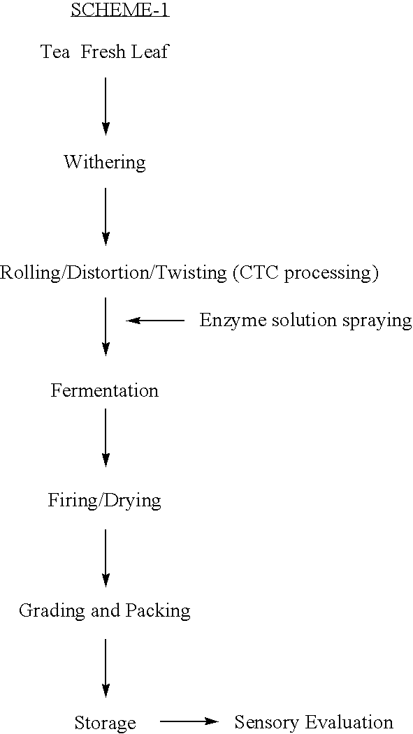 Enzymatic Process for Preparing Pacha Taint Free Tea