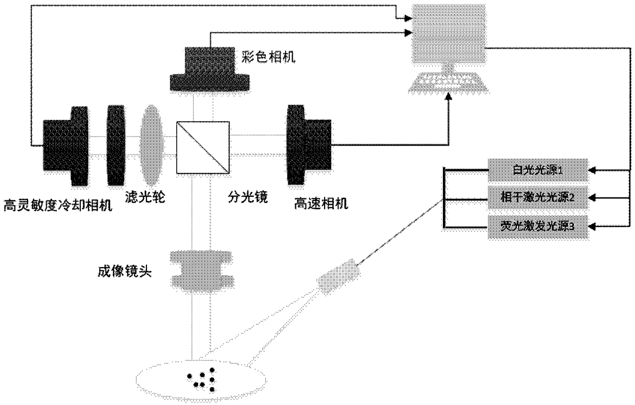 Colony Growth State Detection Device and Method Based on Multimode Imaging Technology