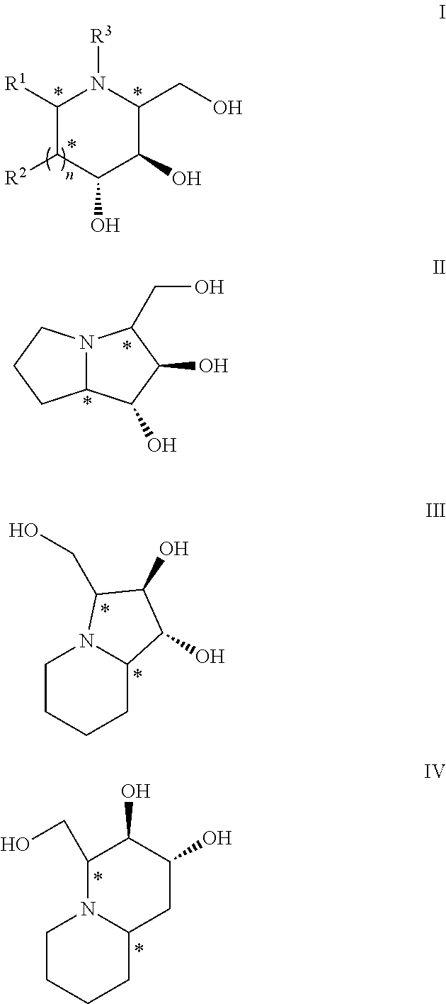 Chemoenzymatic process for the preparation of iminocyclitols