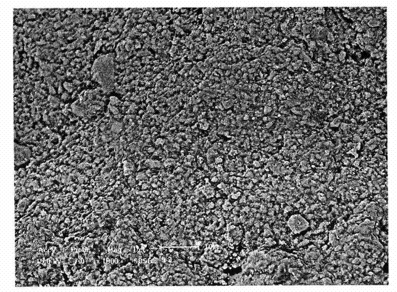 Method for preparing ferric oxide ceramic thin film on the surface of three-dimensional network silicon carbide