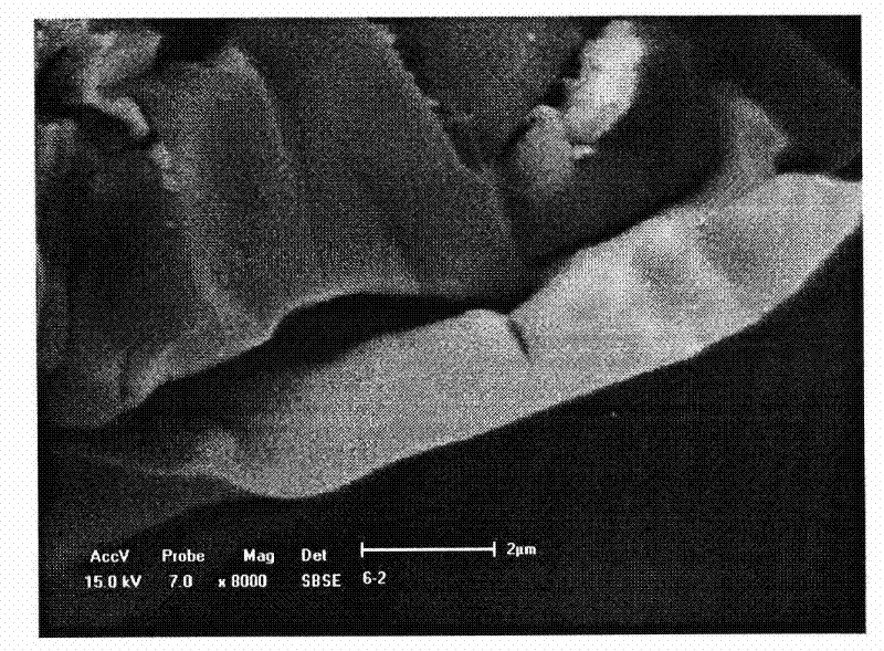 Method for preparing ferric oxide ceramic thin film on the surface of three-dimensional network silicon carbide