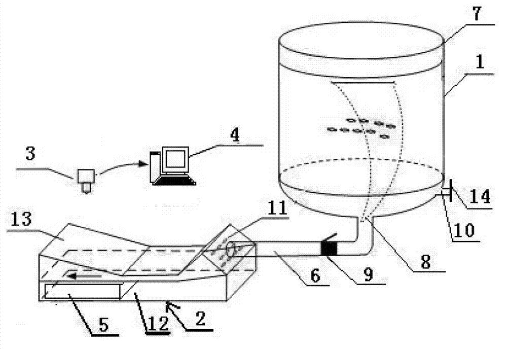 Fish, shrimp and crab seed automatic counting device and method based on computer video processing