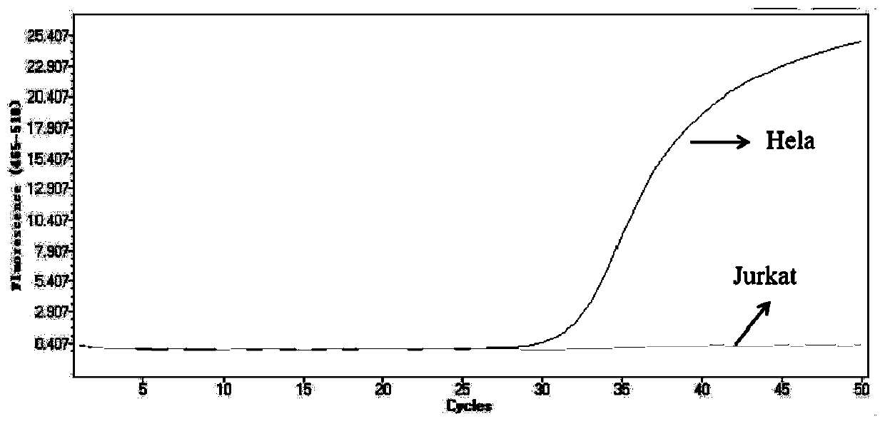 Gene methylation analysis method and product and application