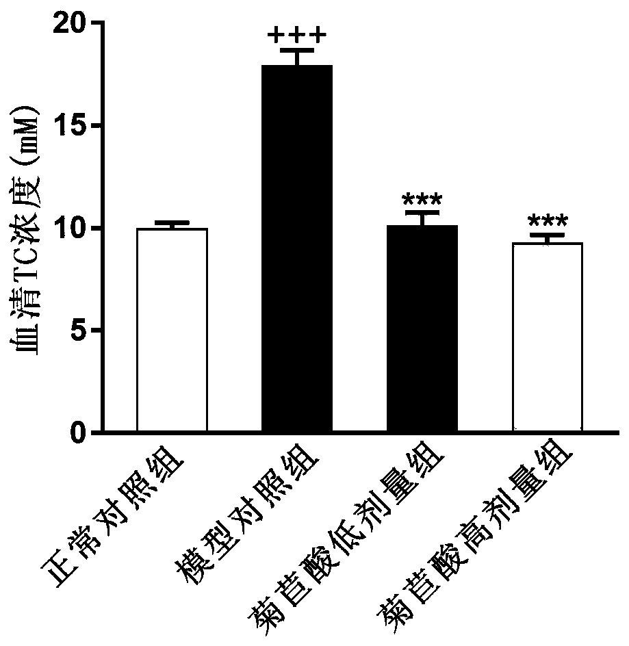 Application of chicoric acid in preparation of medicament for treating obesity or complications thereof