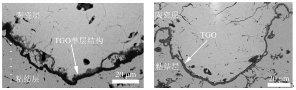 Laser micro-texture modified thermal barrier coating for delaying interface TGO growth and preparation process of laser micro-texture modified thermal barrier coating