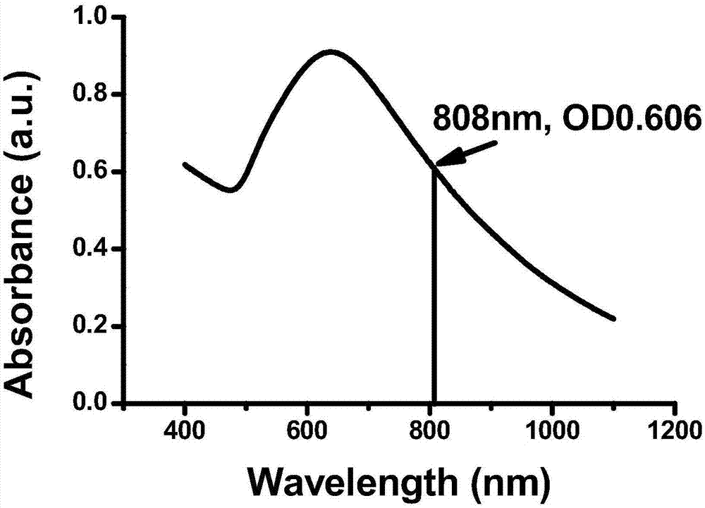 Green preparation method of sea urchin shaped nanogold and application of nanogold in tumor imaging and treatment