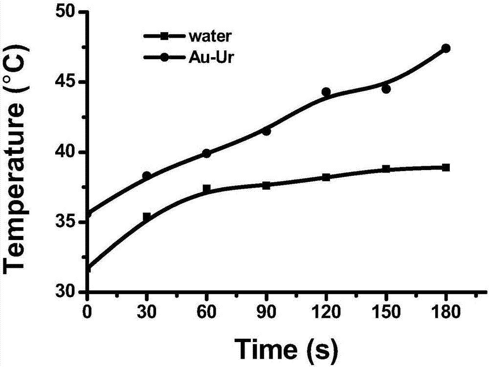 Green preparation method of sea urchin shaped nanogold and application of nanogold in tumor imaging and treatment