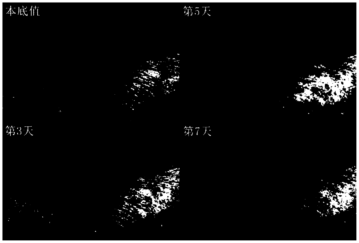 Anti-wrinkle repair eye cream and preparation method thereof