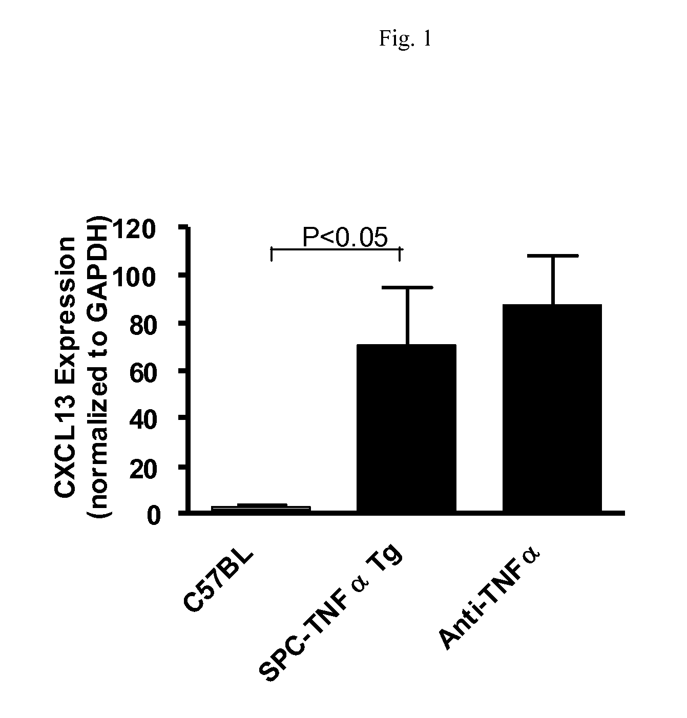 CXCL13 antagonists and their use for the treatment of inflammatory diseases